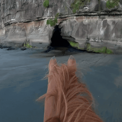Cámara POV Magnética 4K